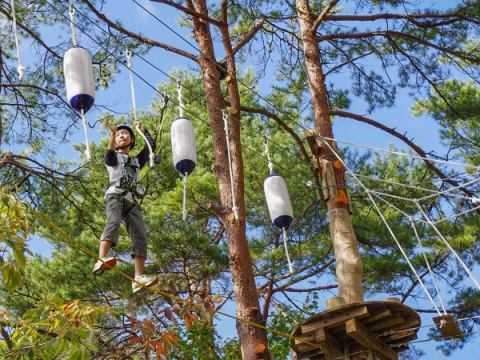 でじろうの森キャンプ場 photo 2