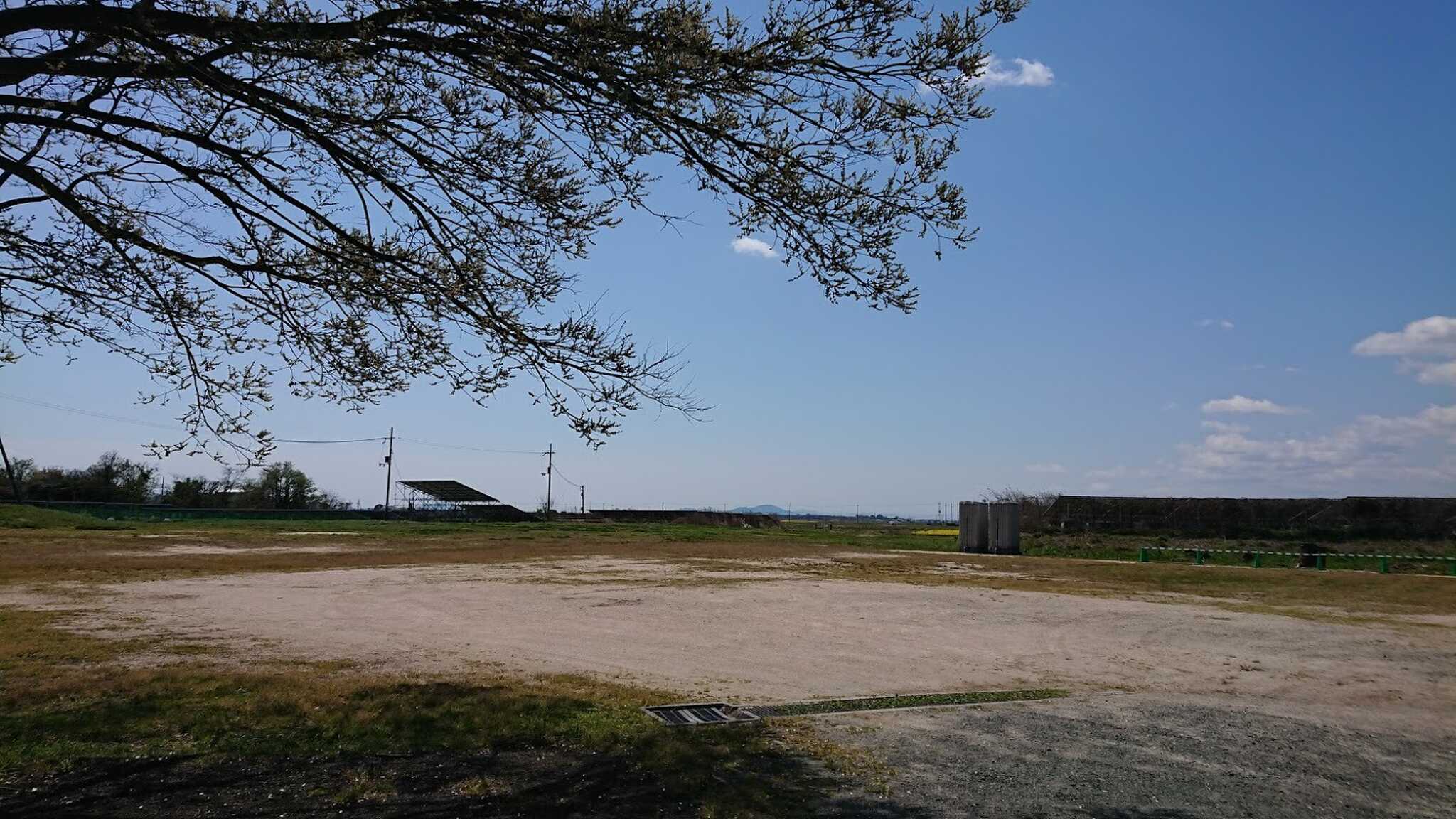 広い場内。空が開けているので、昼間は青い空、夜は星空を楽しむことが出来ます。
