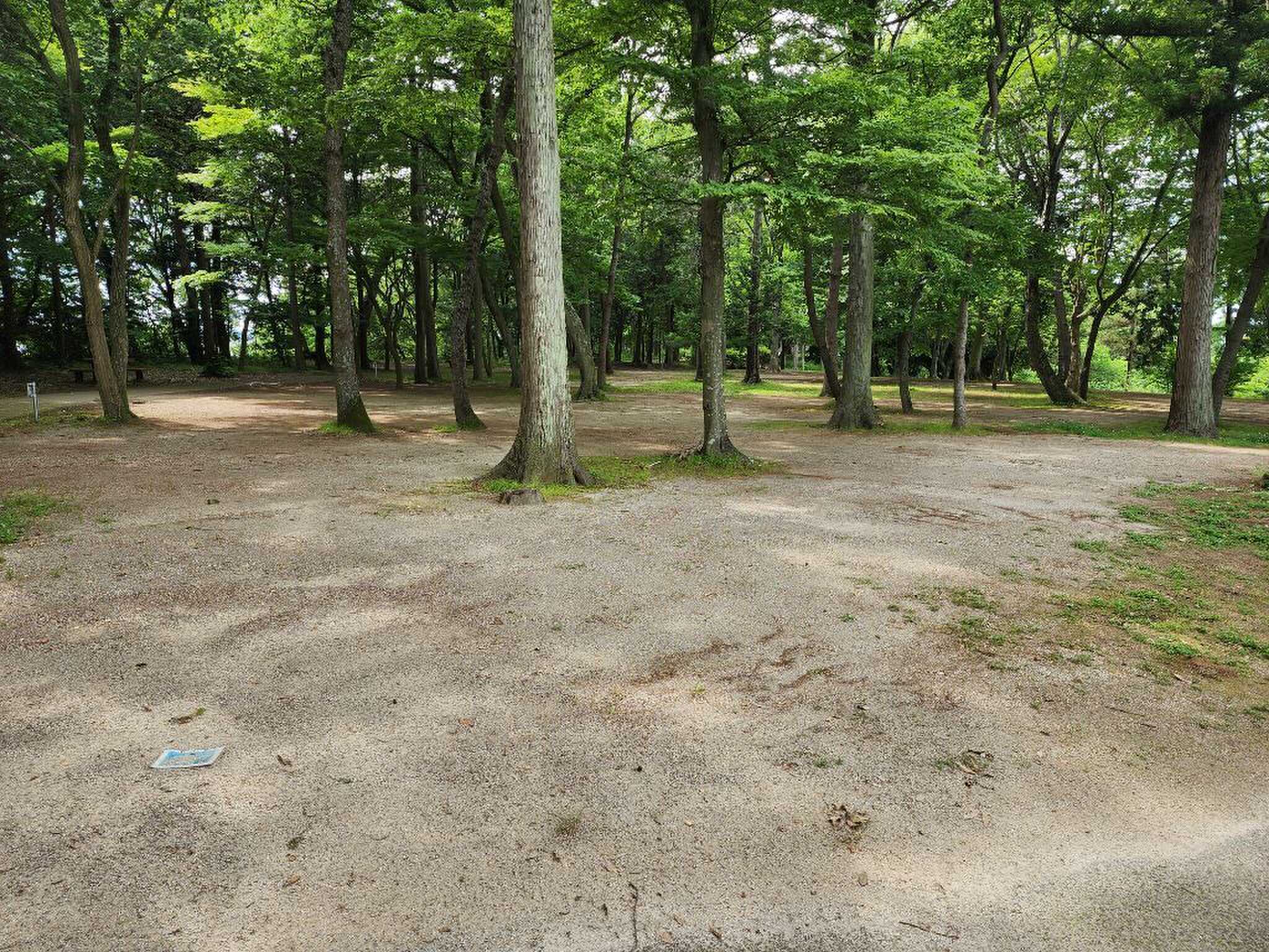 宮山ふるさとふれあい公園の写真 5枚目