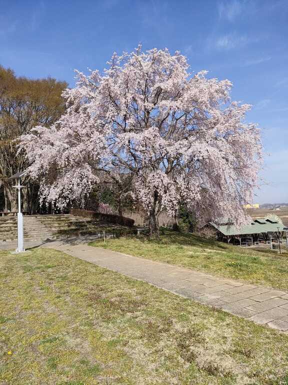 宮山ふるさとふれあい公園 photo 5