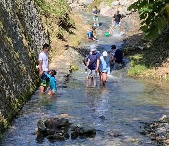 透き通った清流で川遊びもできます!