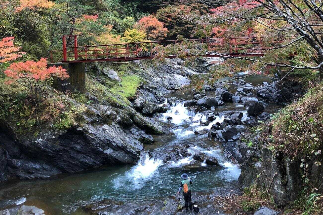 かわらびオートキャンプ場の写真 1枚目