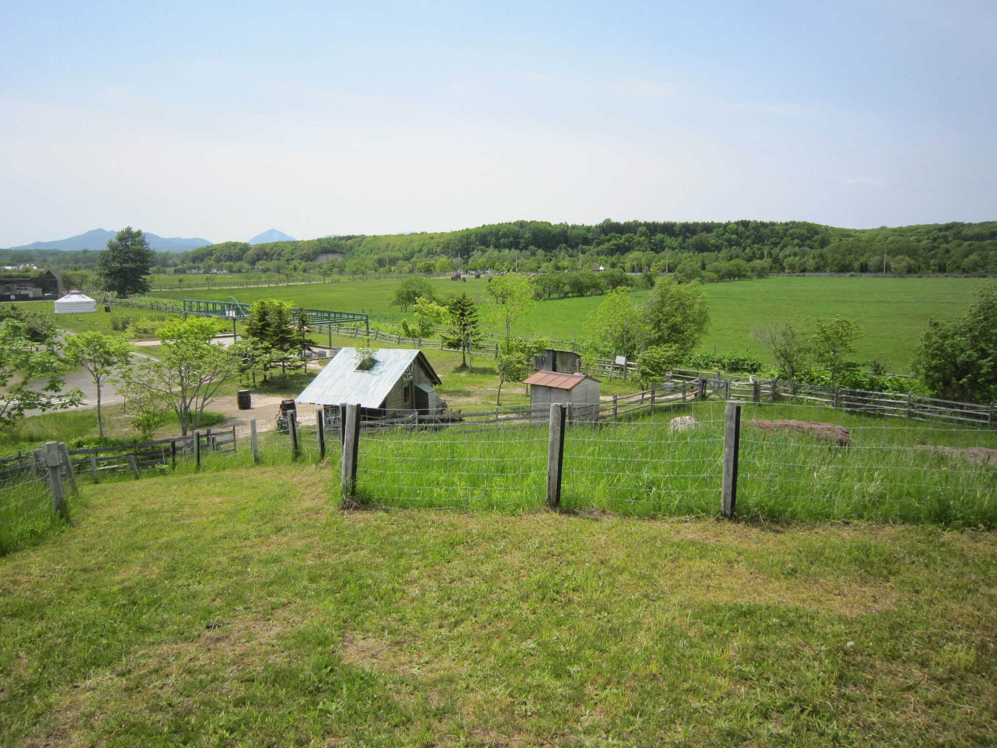 Sheep sheep camping fieldの写真 4枚目
