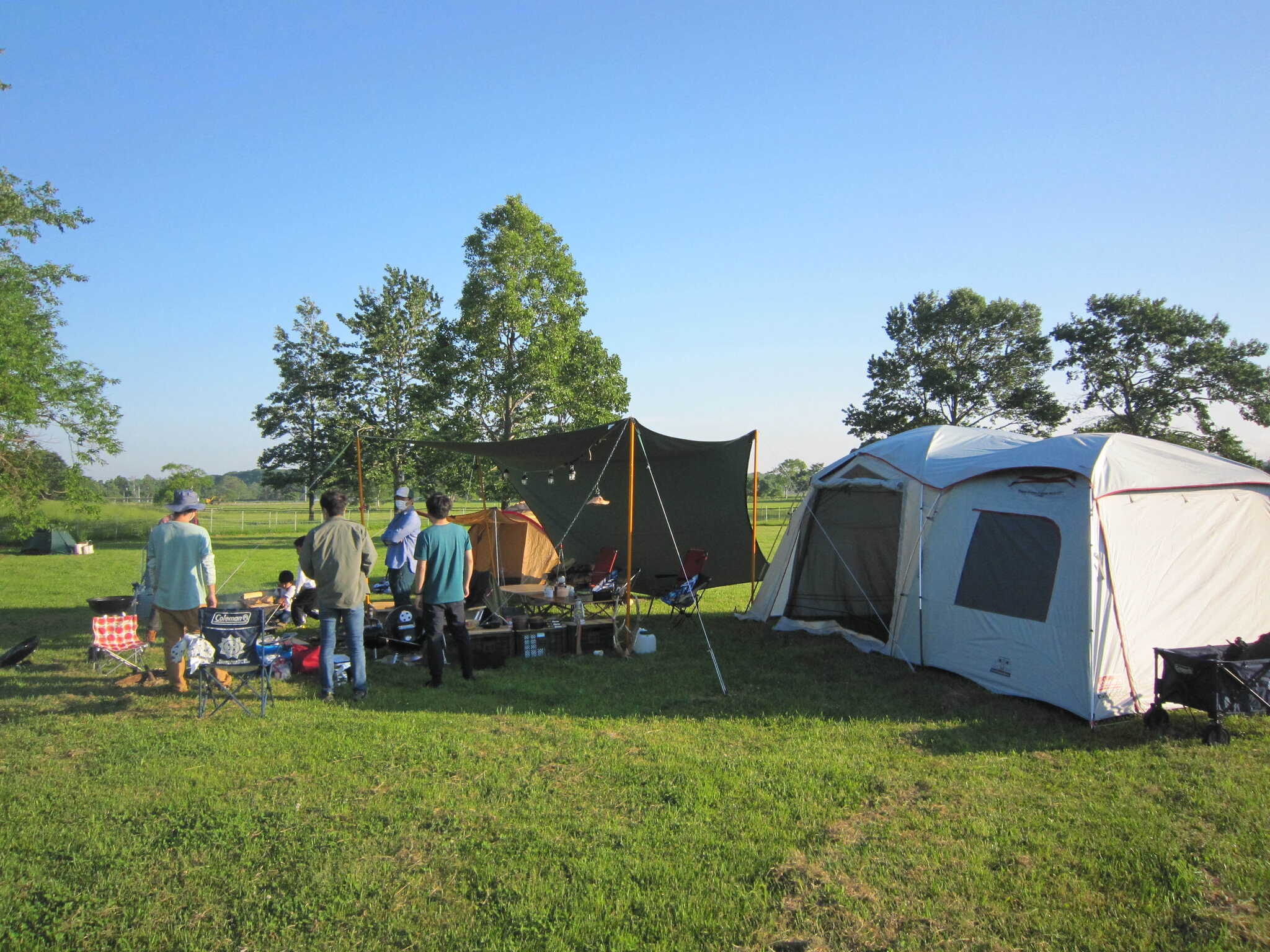 Sheep sheep camping fieldの写真 5枚目