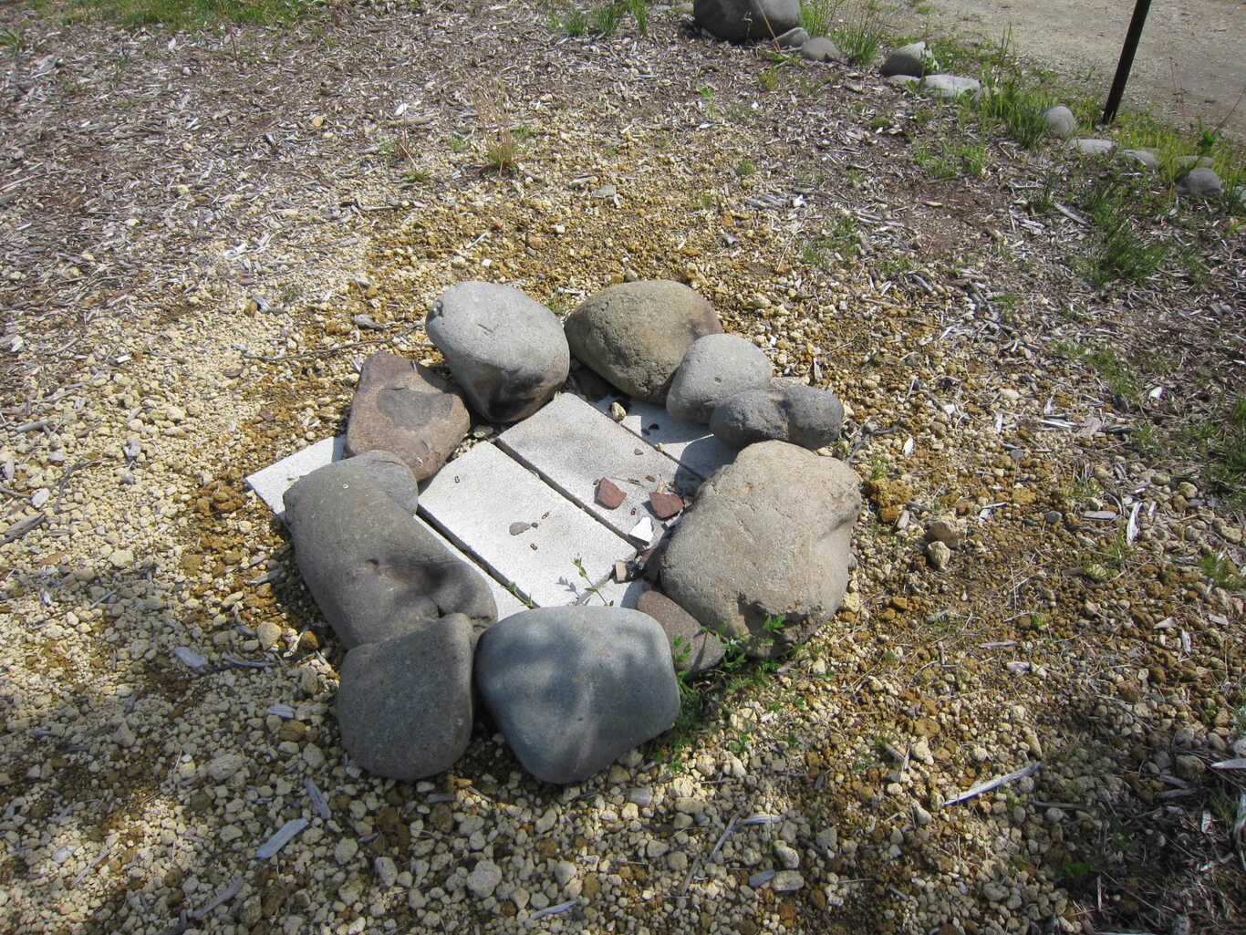 Sheep sheep camping field photo 5
