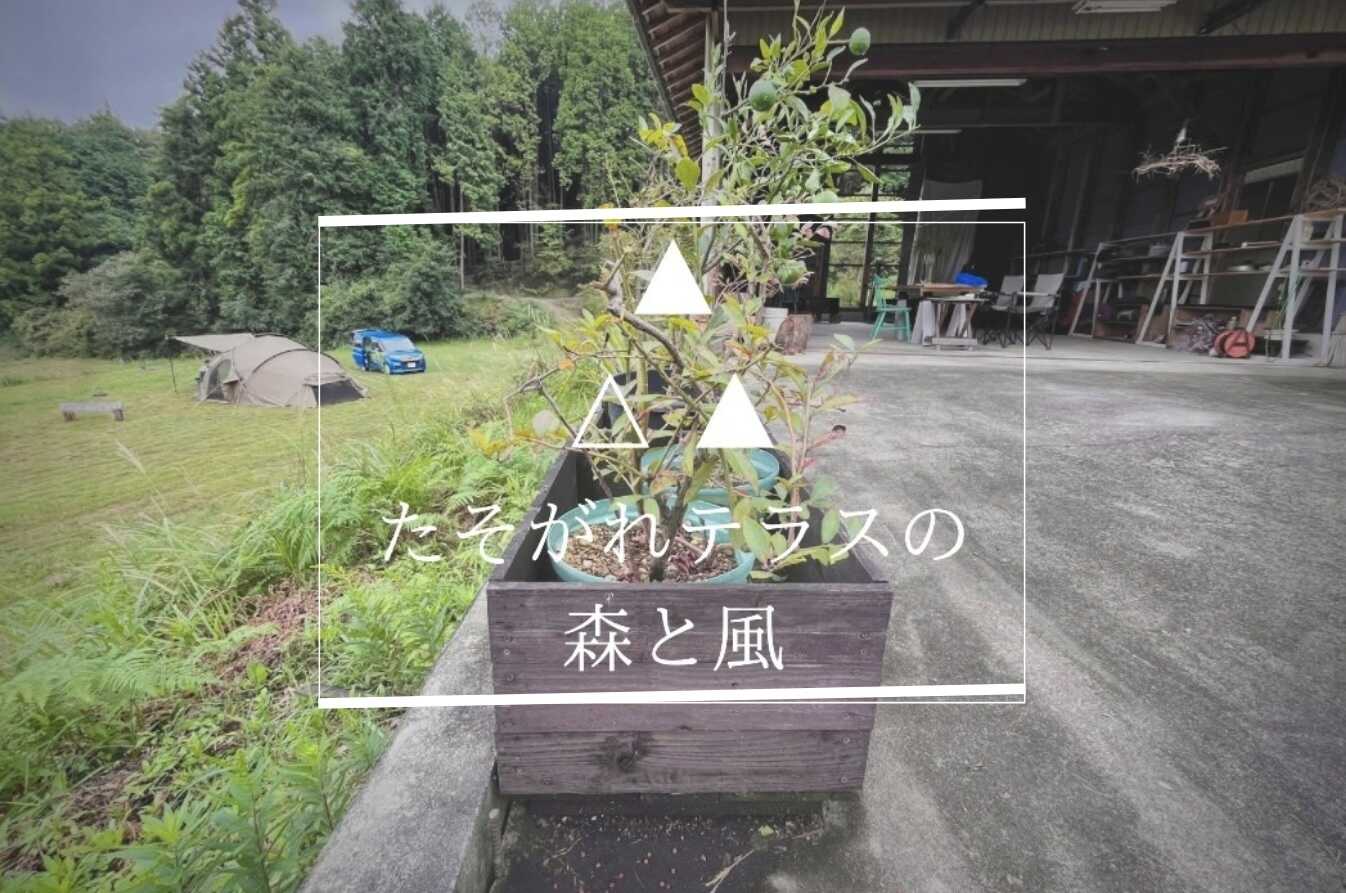 たそがれテラスまきやま