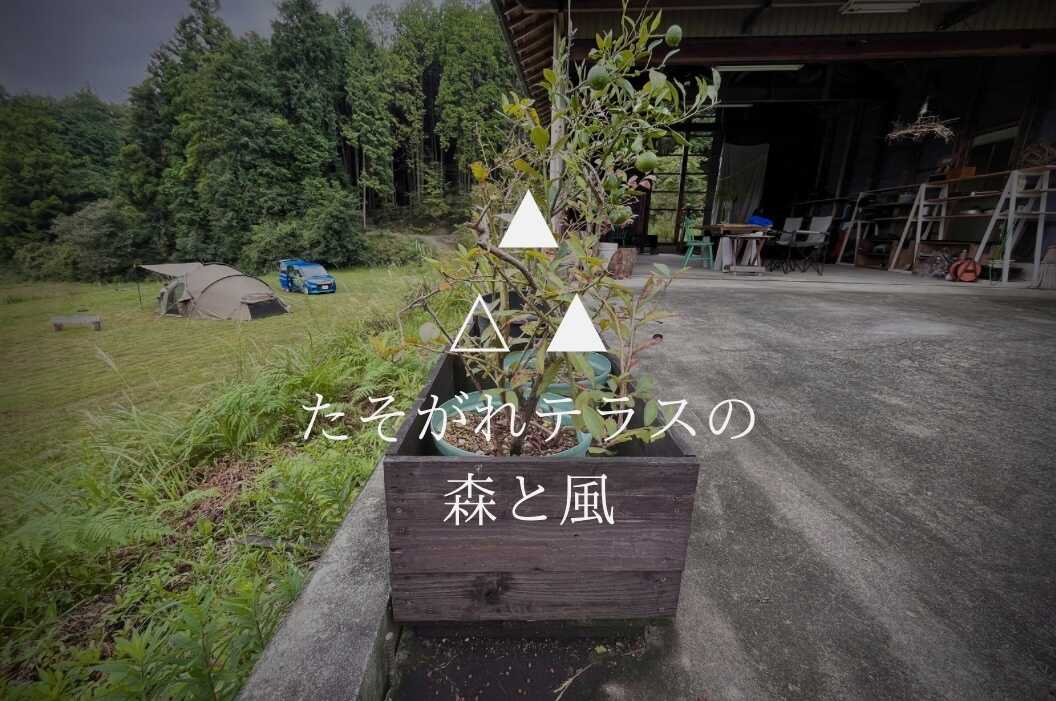 たそがれテラスまきやま
