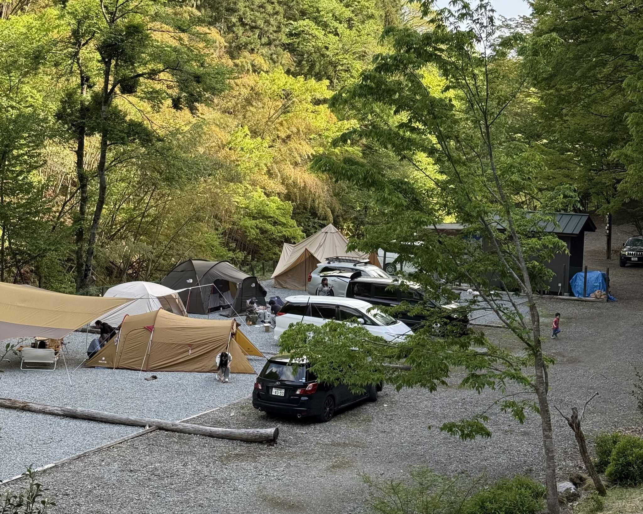 eureka camp village (旧:KAGARIBI Camp Terrace)の写真 2枚目