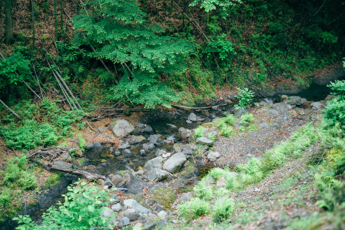 eureka camp village (旧：KAGARIBI Camp Terrace) photo 3