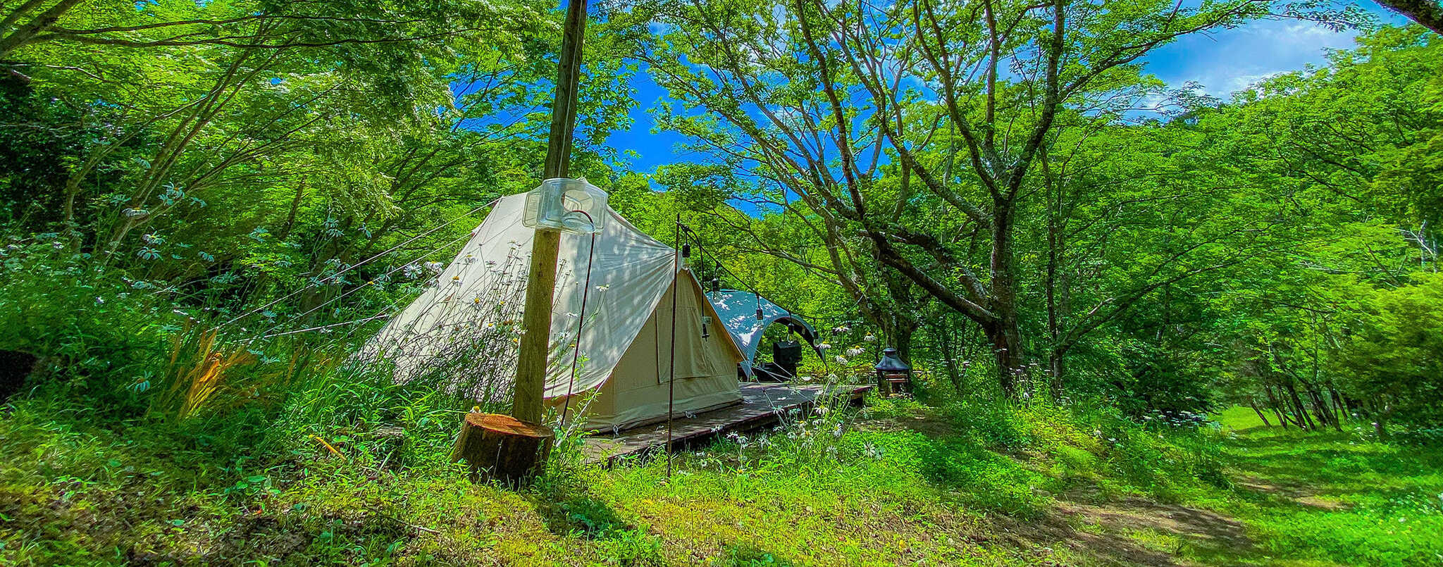 やまももキャンプ場