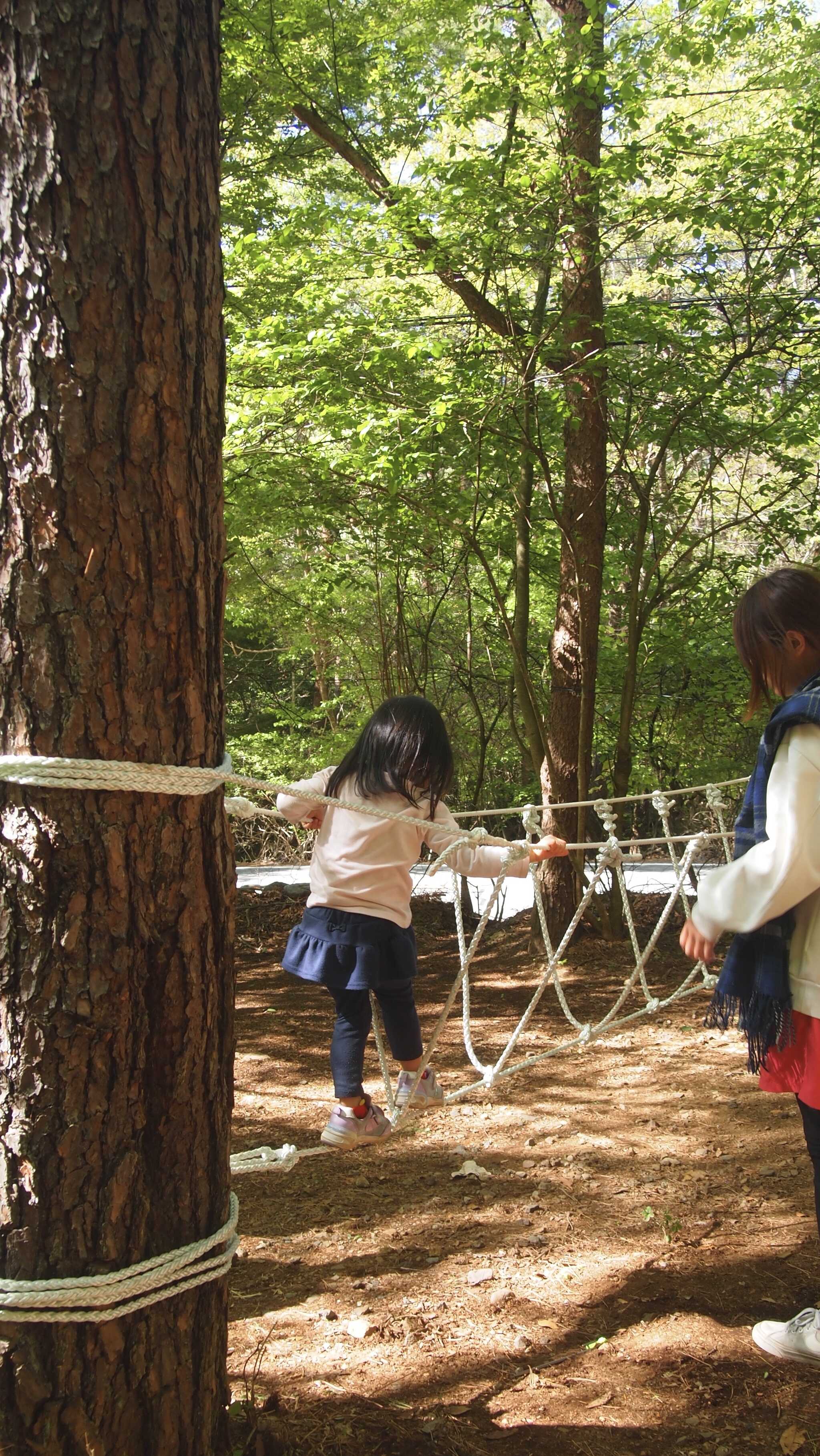 【閉鎖】SPORTS TRAIN in Forest CAMPの写真 1枚目