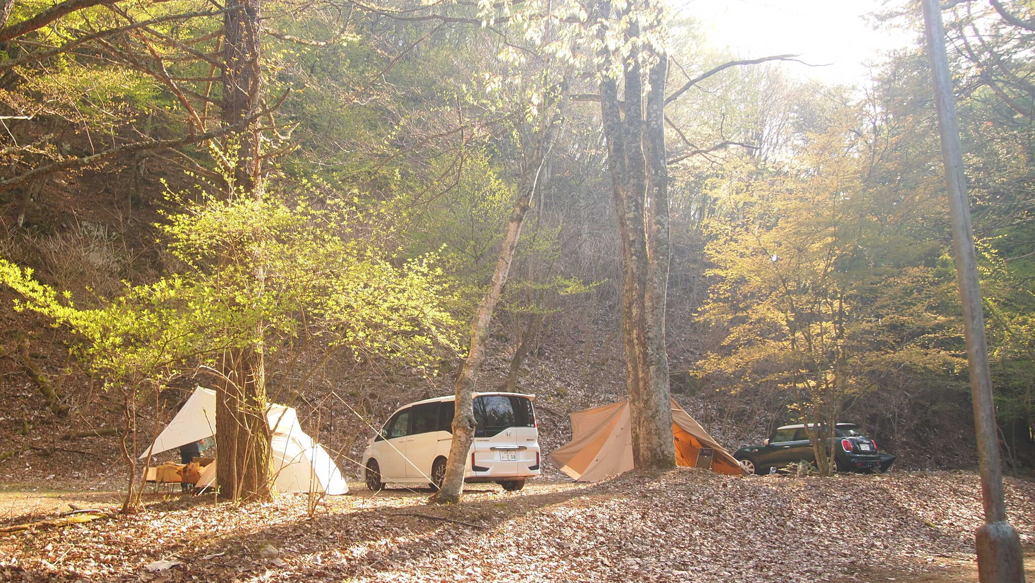 【閉鎖】SPORTS TRAIN in Forest CAMPの写真 2枚目