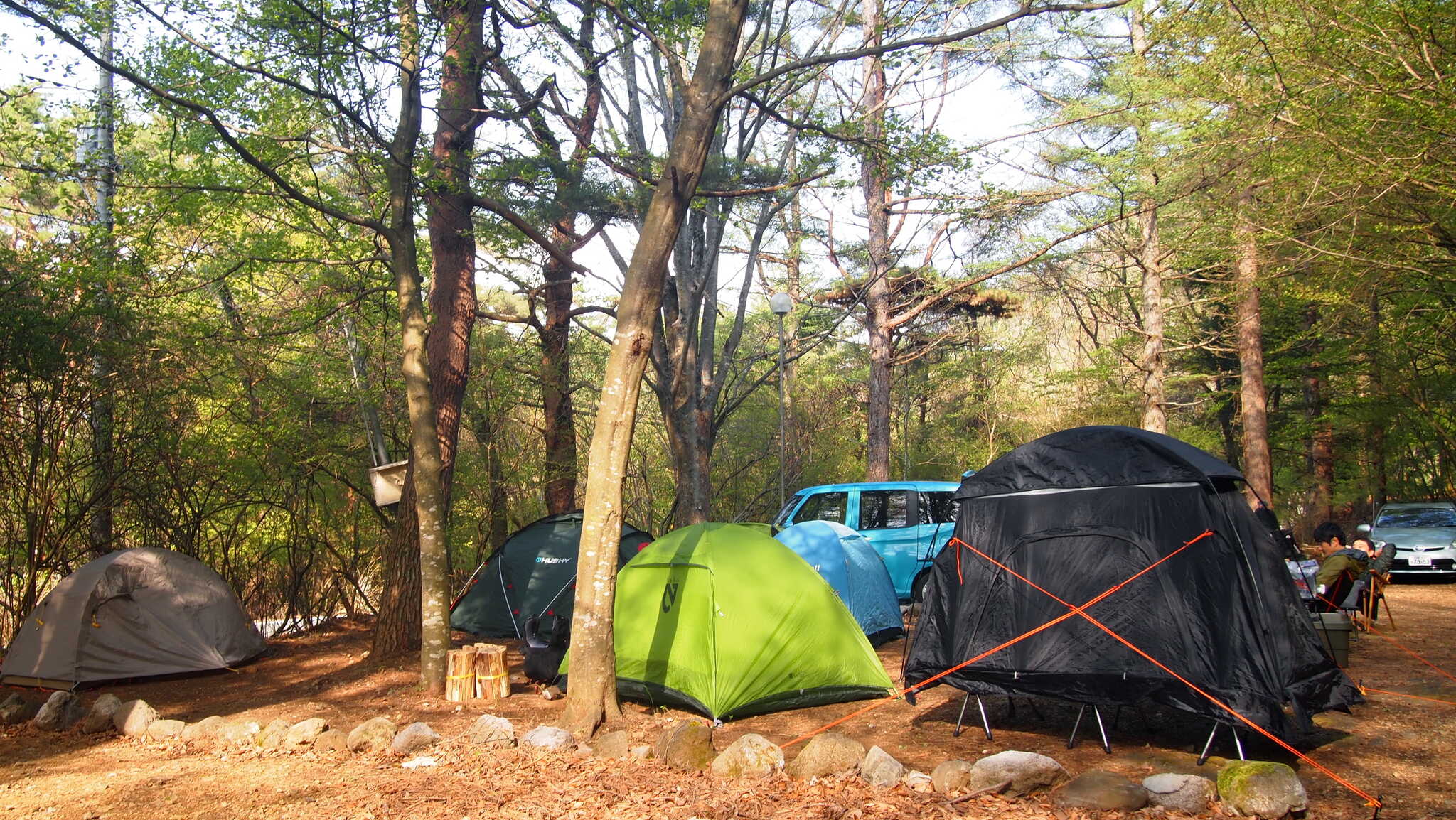 【閉鎖】SPORTS TRAIN in Forest CAMPの写真 4枚目