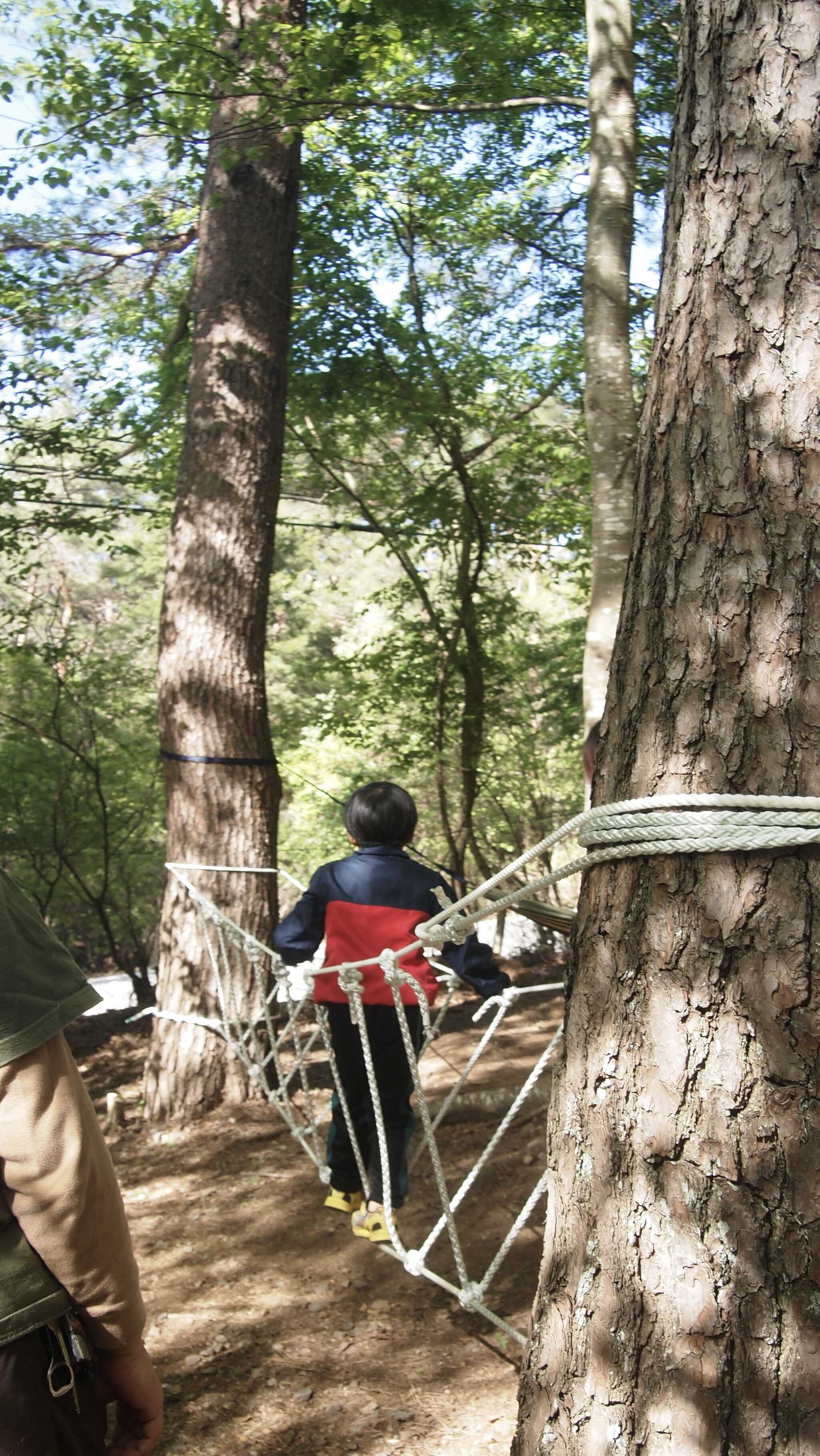 【閉鎖】SPORTS TRAIN in Forest CAMPの写真 5枚目