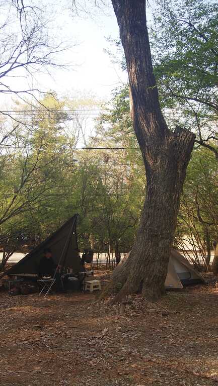 SPORTS TRAIN in Forest CAMP photo 4