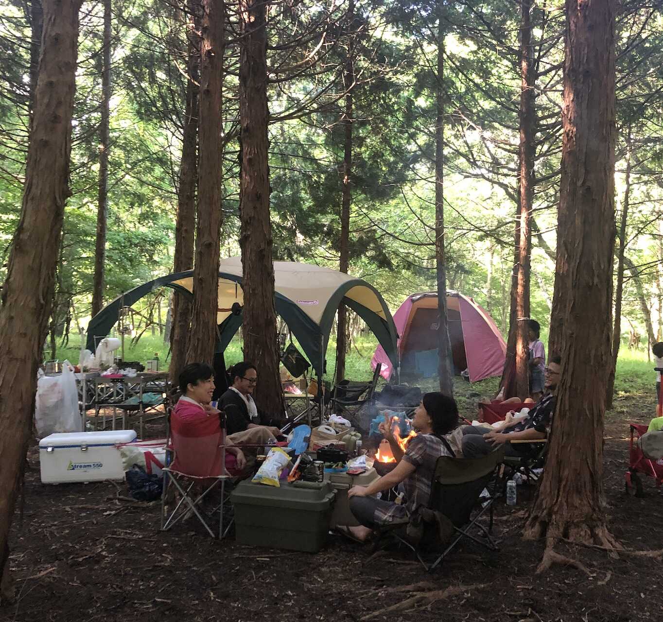 山中湖ふじのもりオートキャンプ場の写真 4枚目