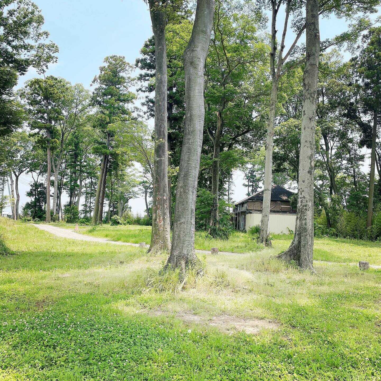 農家の裏庭キャンプ場(旧:誠農社 キャンプ場)の写真 2枚目