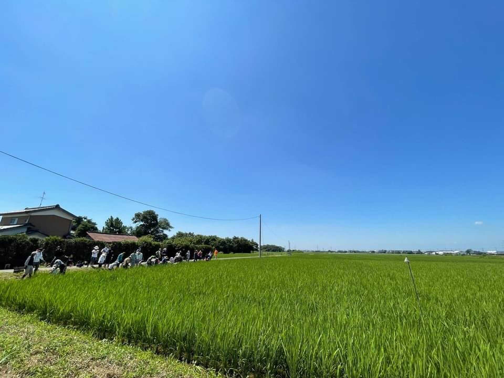農家の裏庭キャンプ場(旧:誠農社 キャンプ場)の写真 4枚目