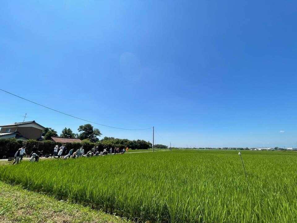 農家の裏庭キャンプ場(旧:誠農社 キャンプ場)の写真 4枚目