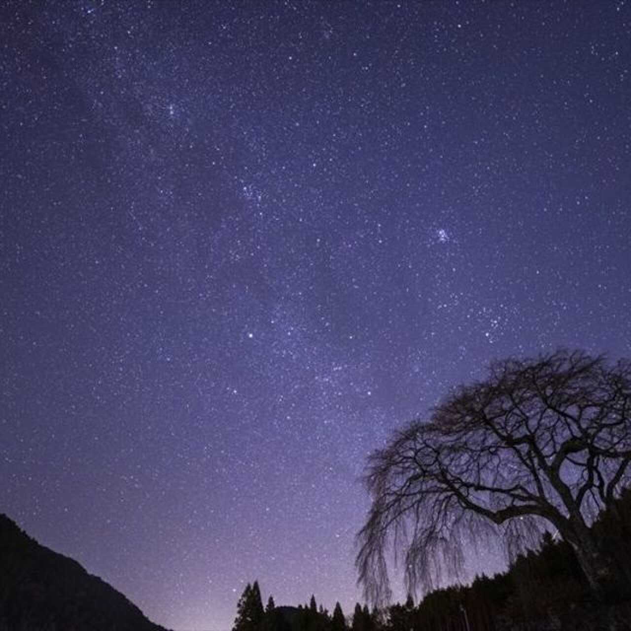 ひるがみの森の写真 5枚目