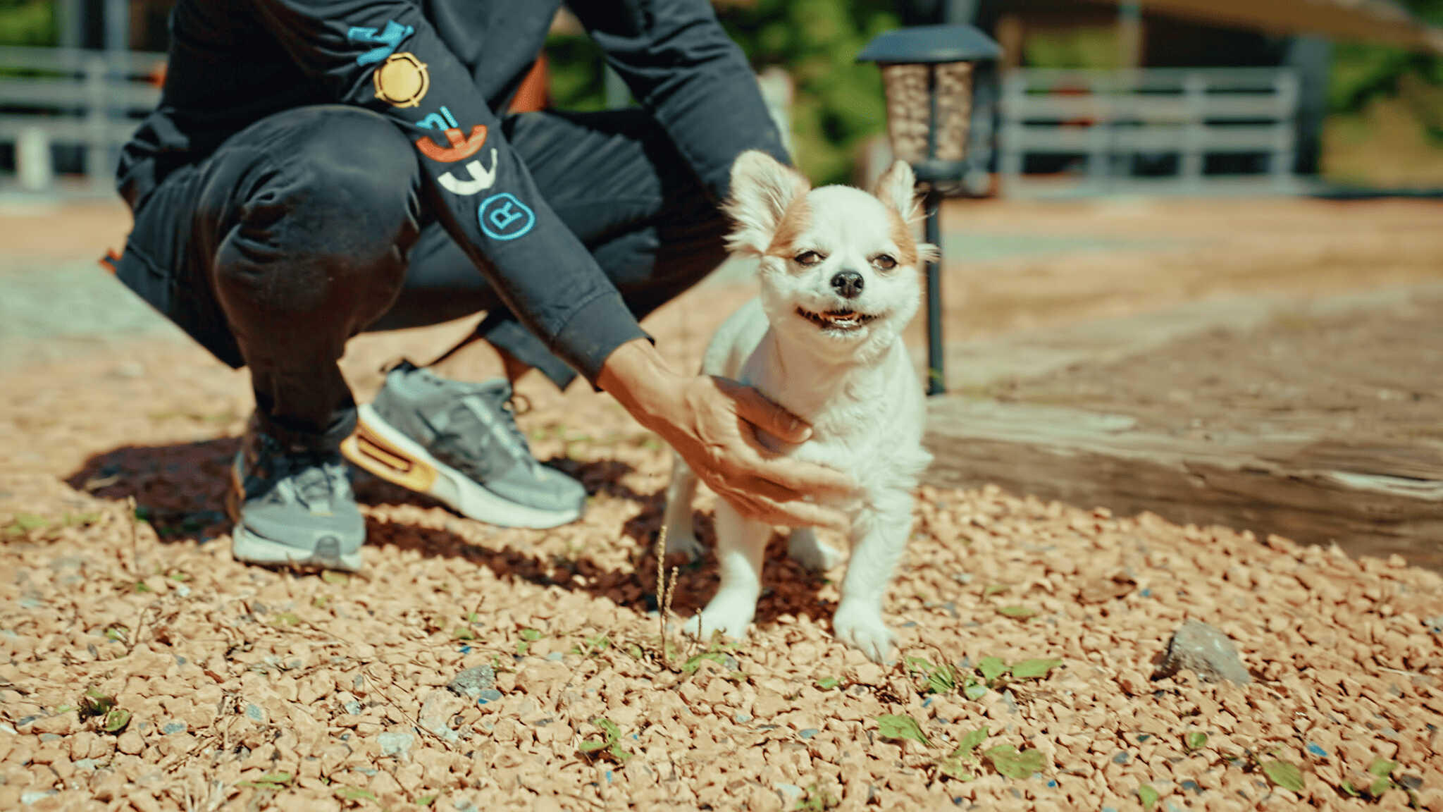 【大好きな愛犬と過ごす素敵な宿泊体験を♪】