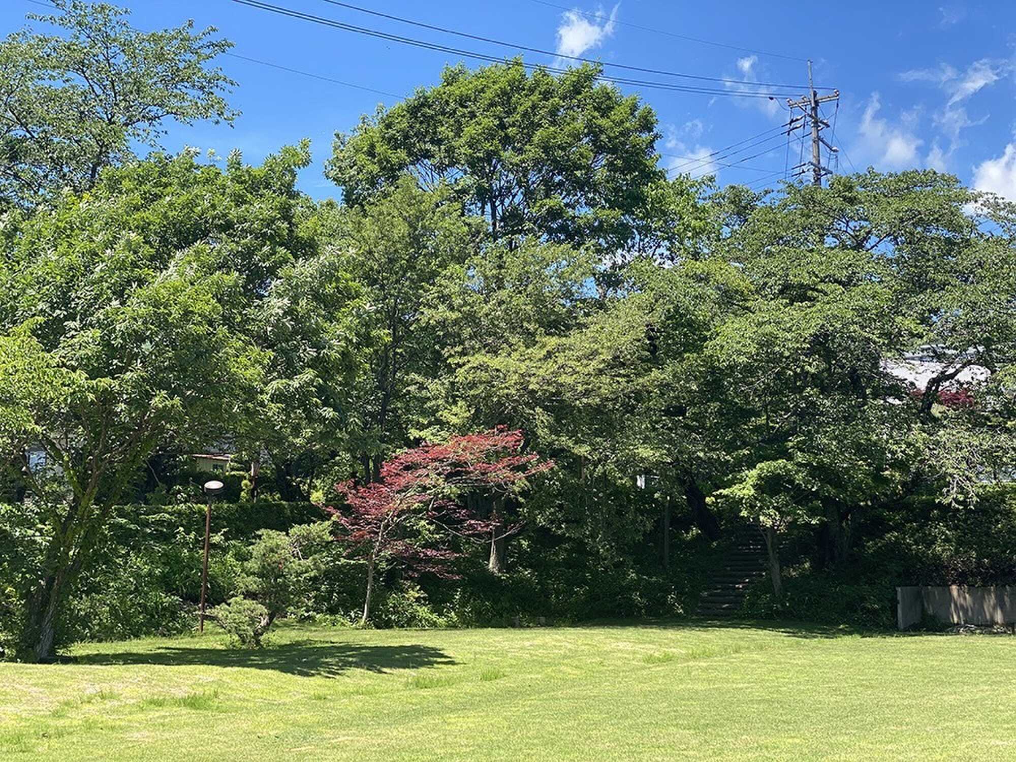 あだたらさくらキャンプ場の写真 1枚目