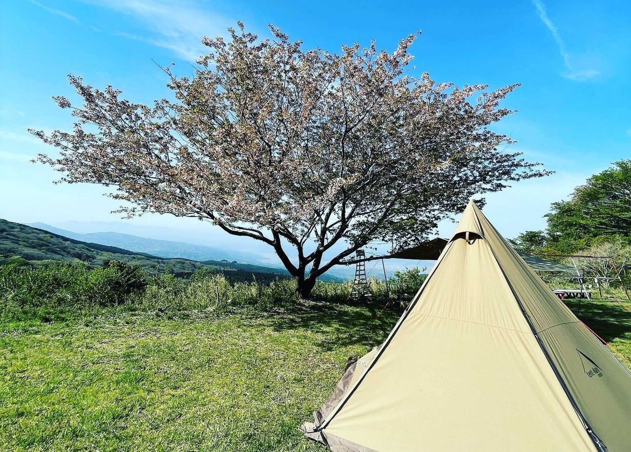 富士箱根ランド キャンプ場