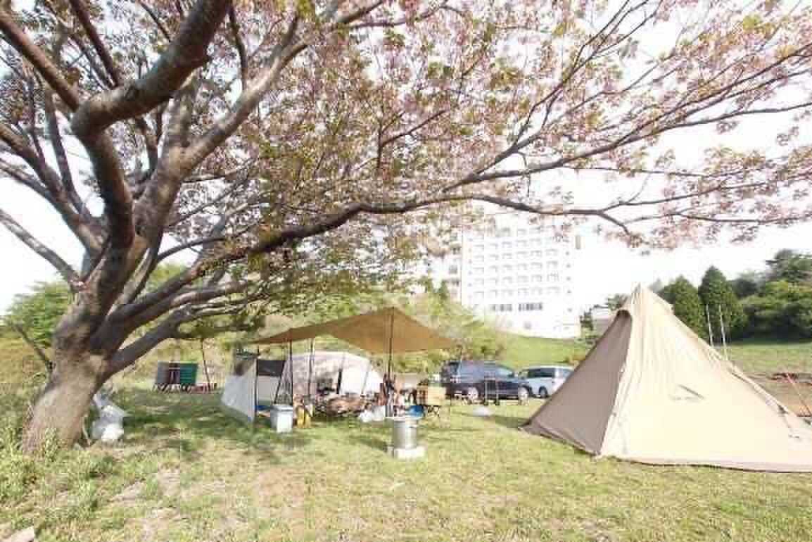 富士箱根ランド キャンプ場の写真 4枚目