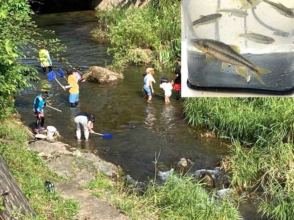 福知山 里キャンプ場