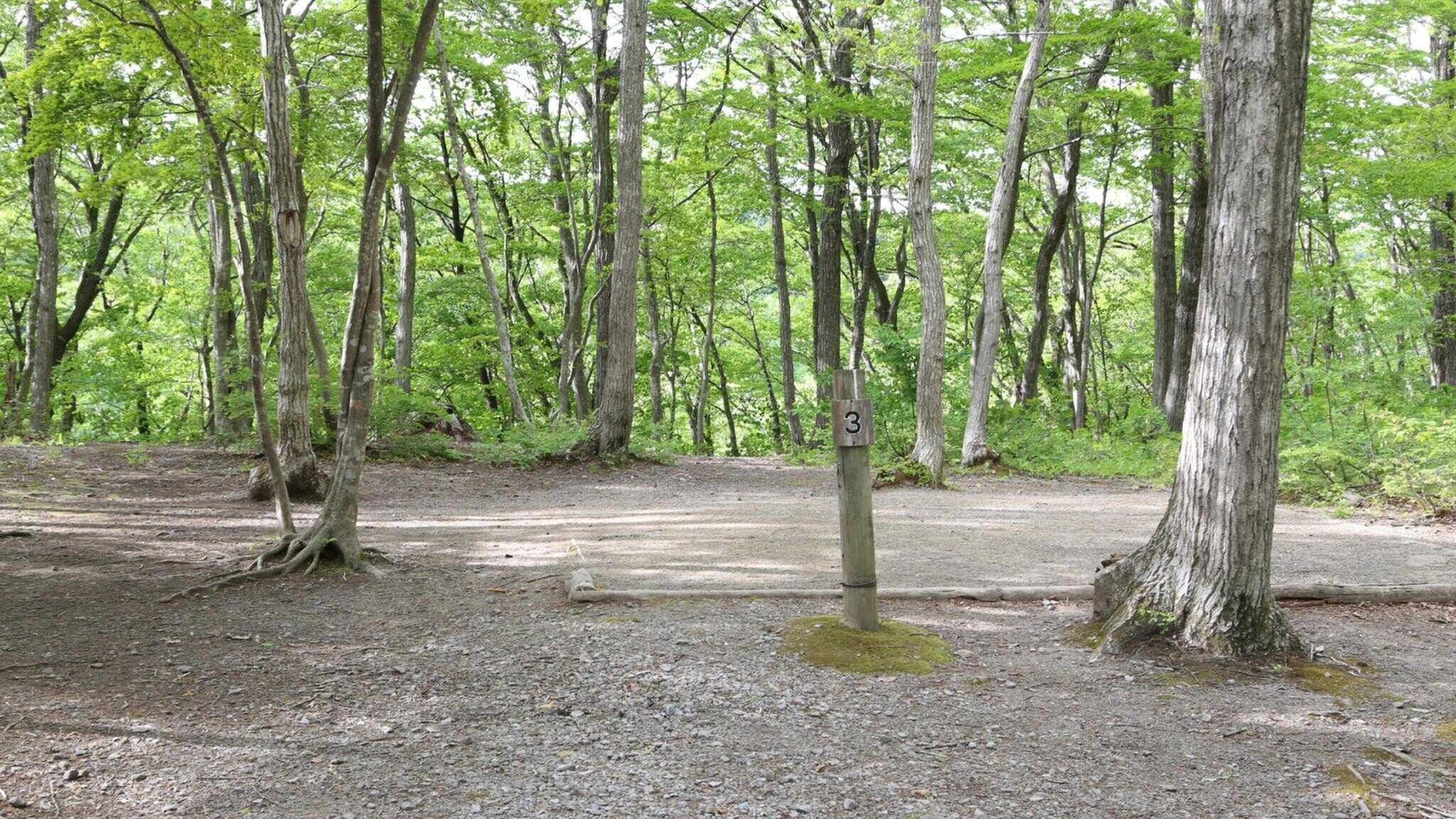 たびのCAMPIMG BASE 加美大滝の写真 1枚目