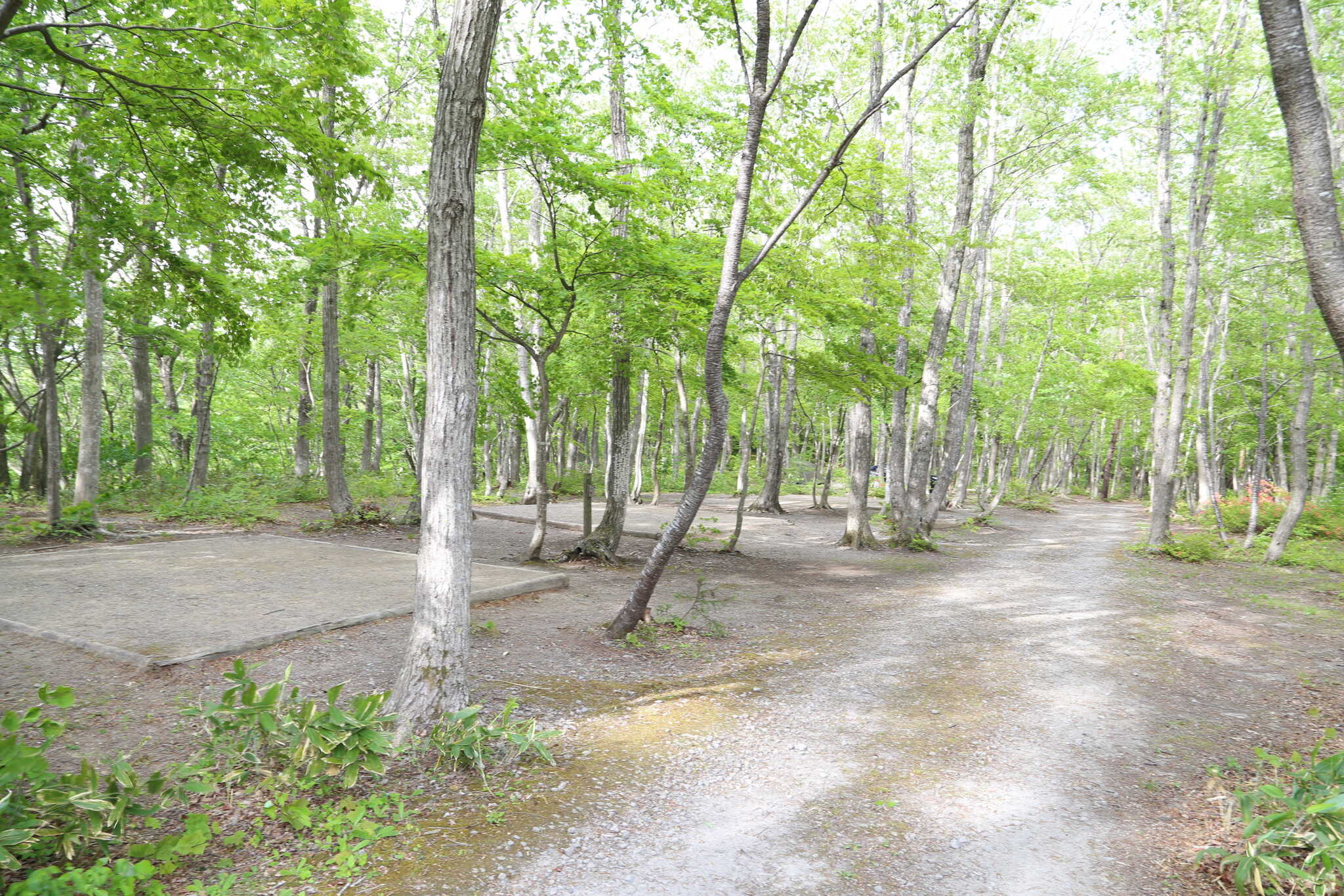 たびのCAMPIMG BASE 加美大滝の写真 3枚目