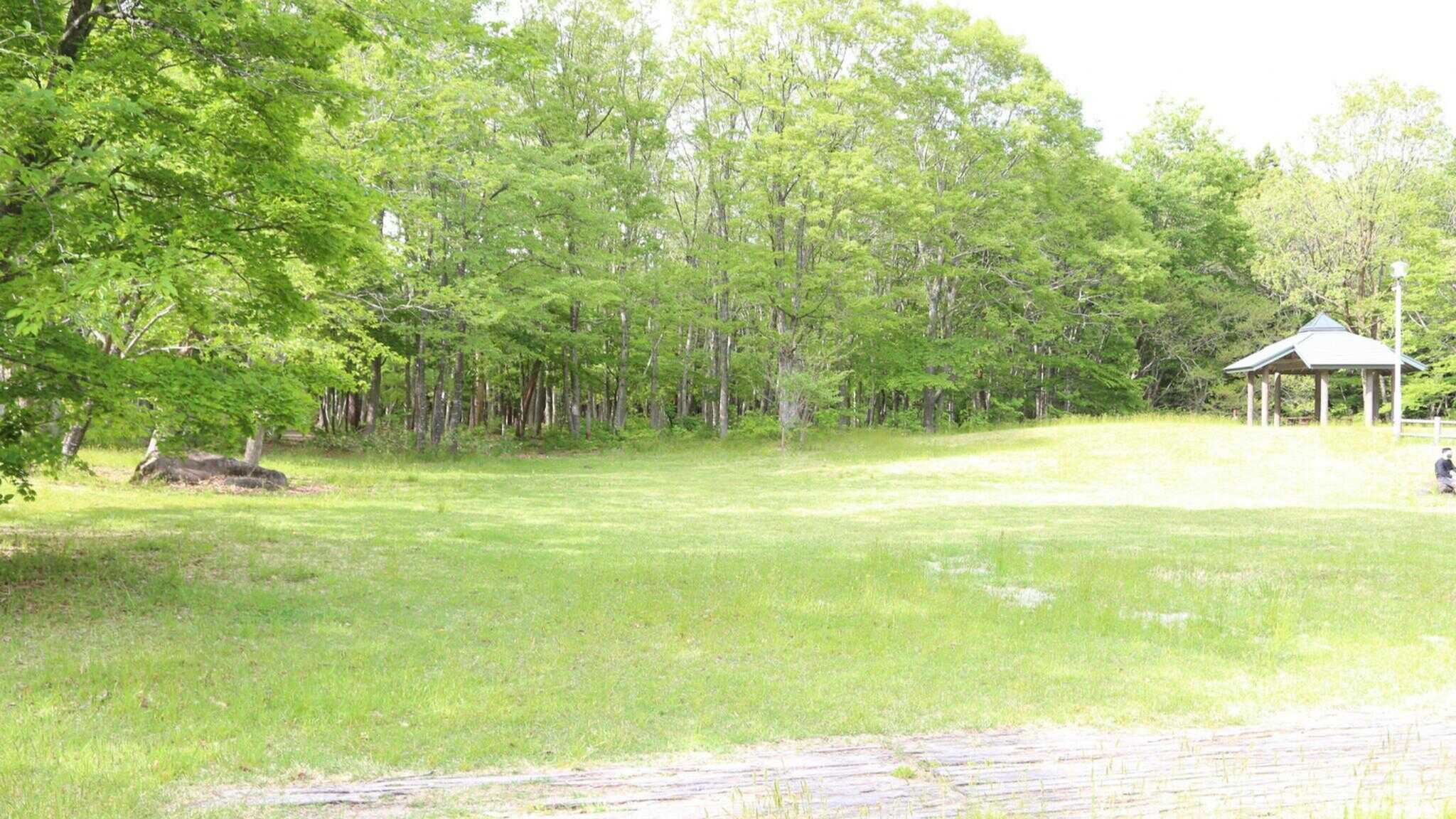 たびのCAMPIMG BASE 加美大滝の写真 5枚目