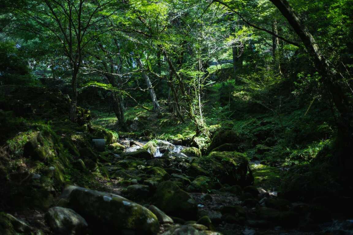 リバーサイドキャンプ腰掛（腰掛山荘） photo 5
