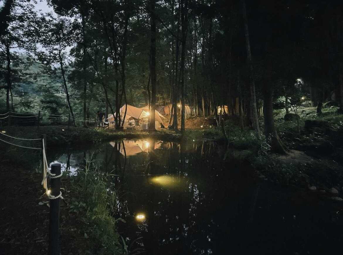 【山梨・白州】木もれびPONDキャンプ場の写真 2枚目