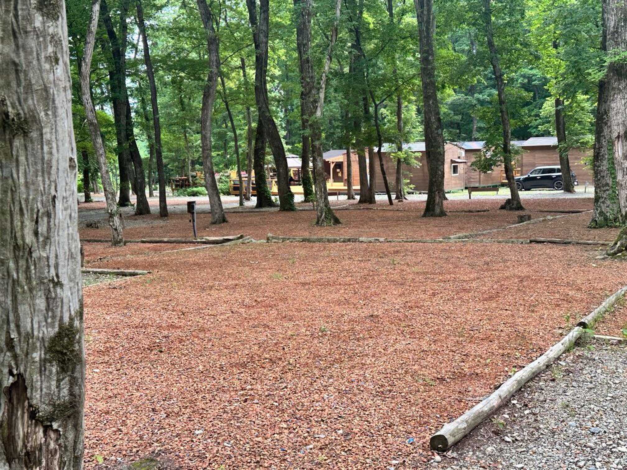 林間サイトの広さは120㎡~170㎡、2ルームテントも楽々張れます!