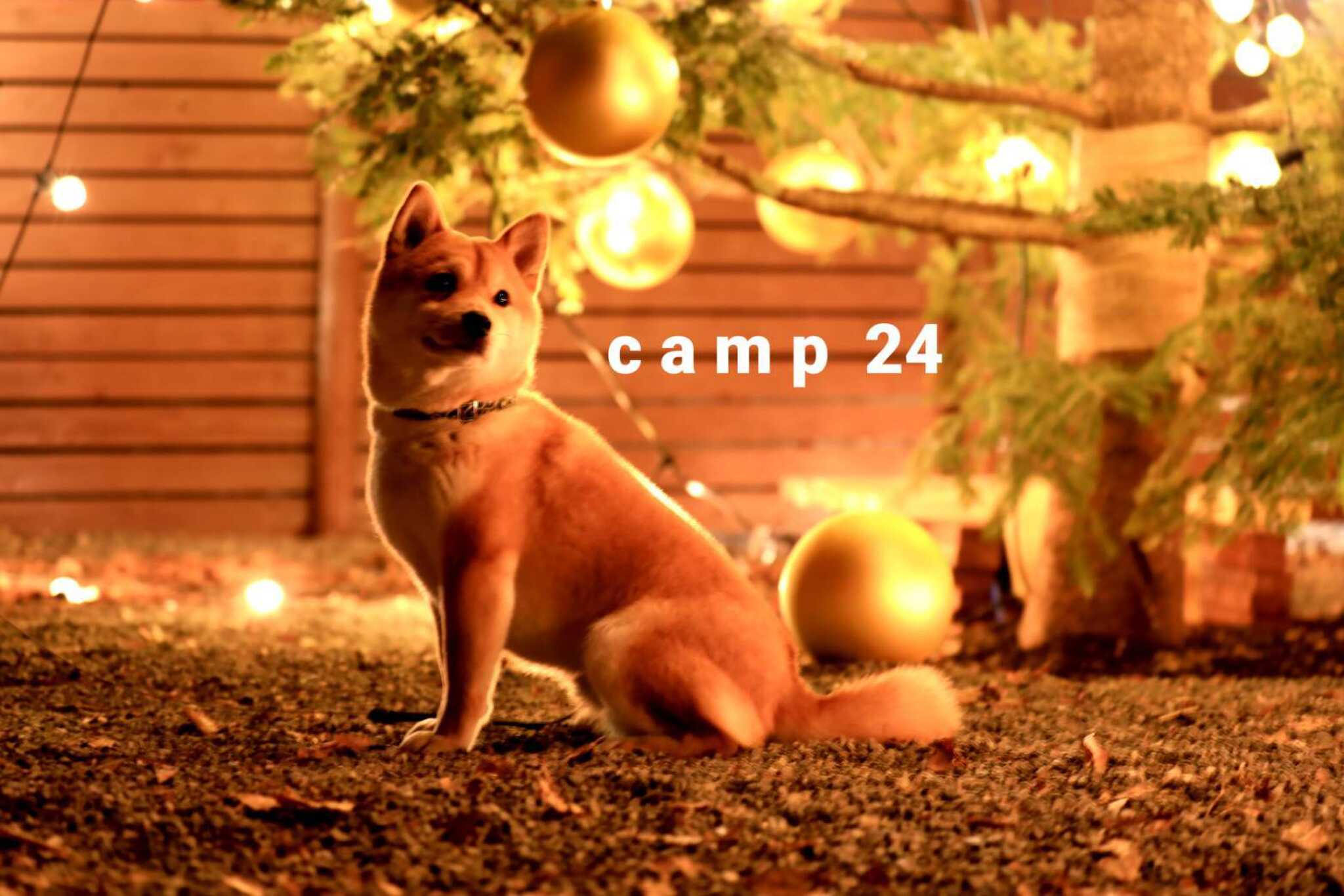 【閉鎖】camp 24 白州フィールド