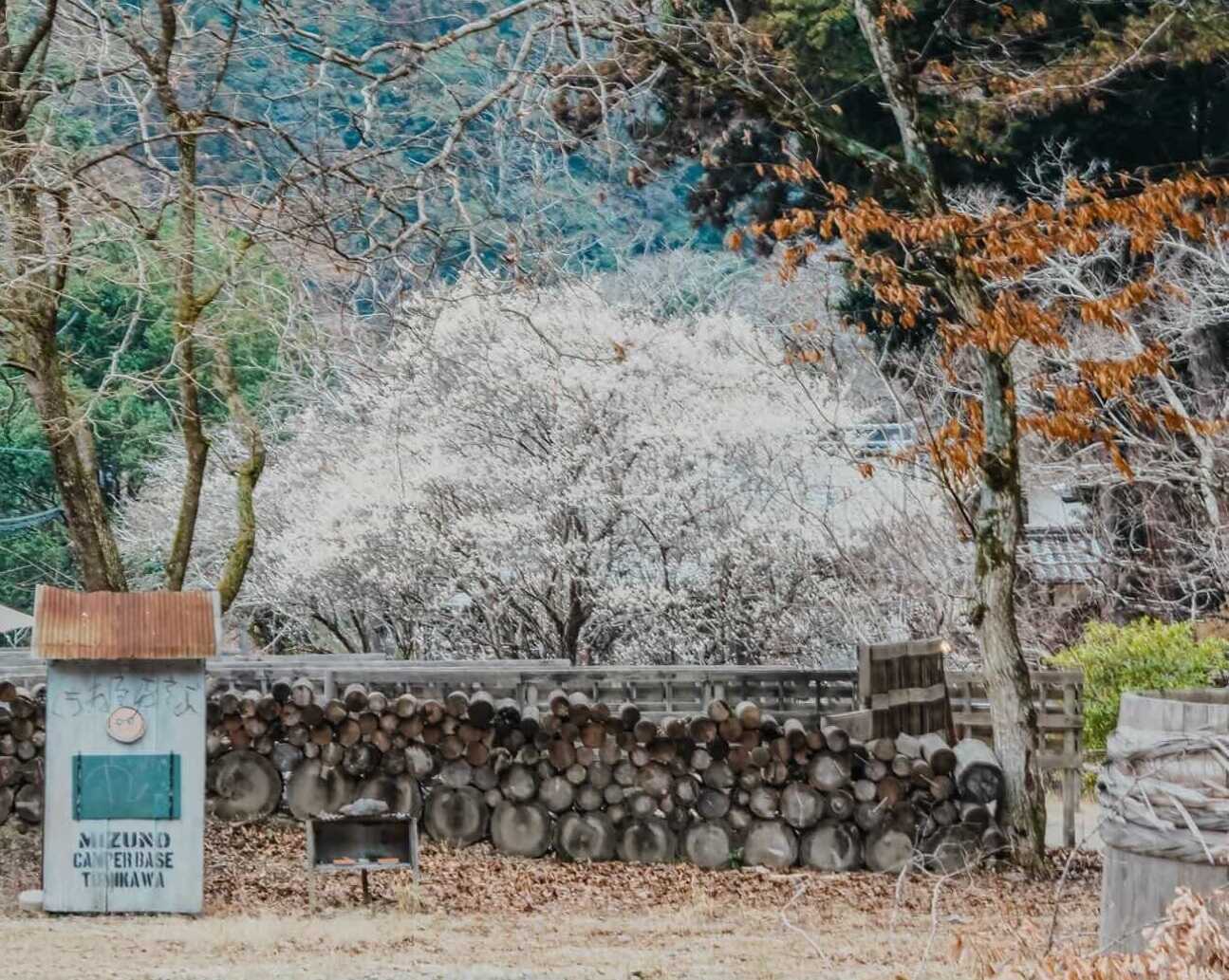 MIZUNO CAMPER BASE 富川の写真 3枚目