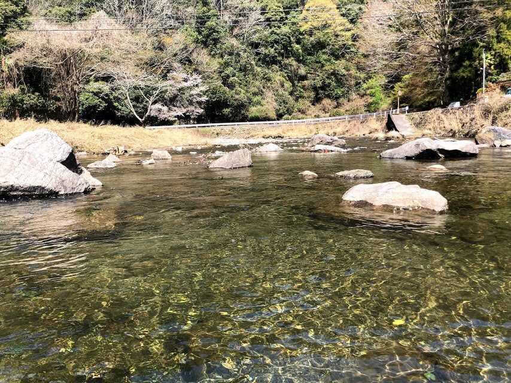 近くには浅い川が流れています。