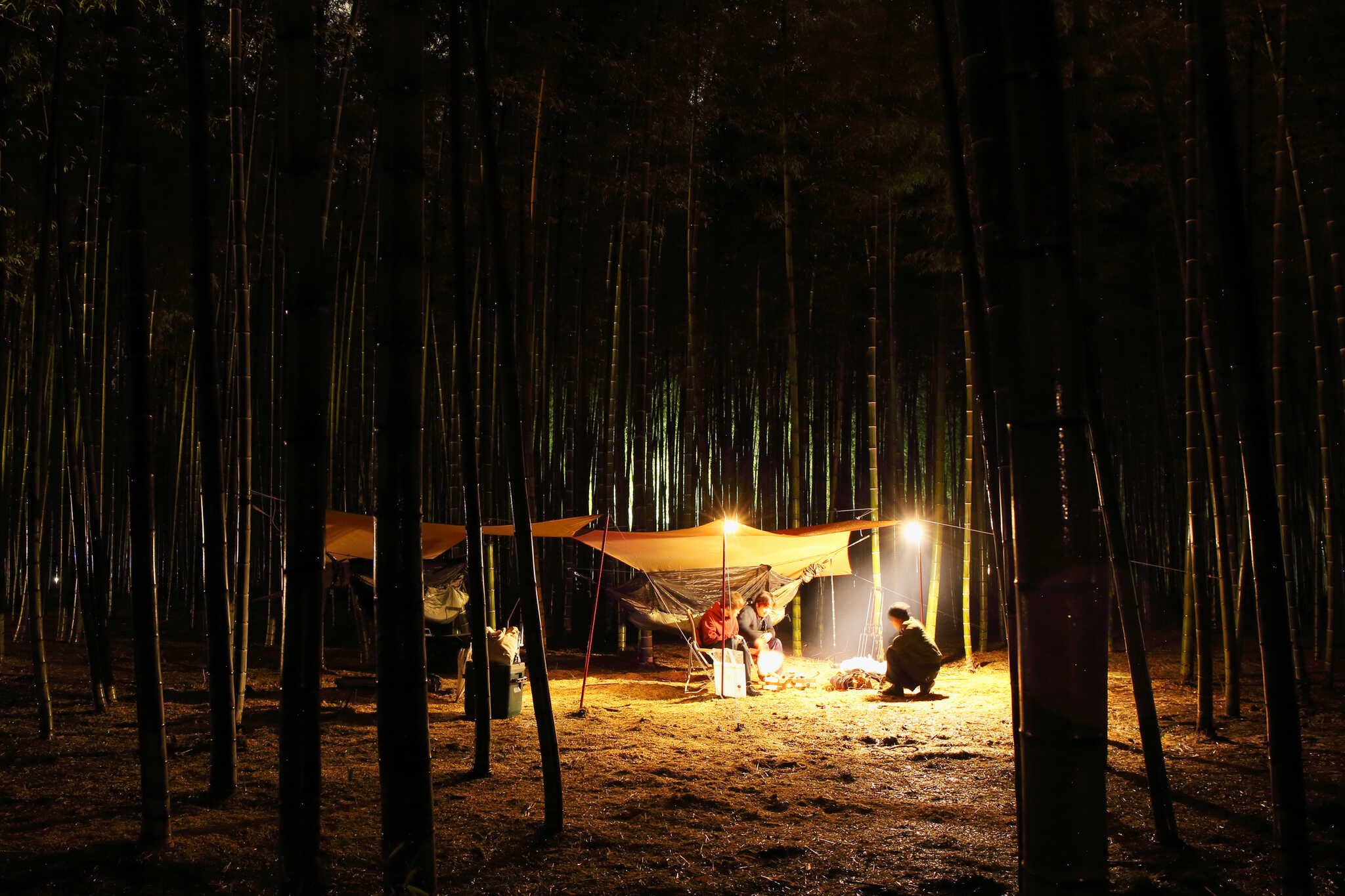 若竹の杜 若山農場