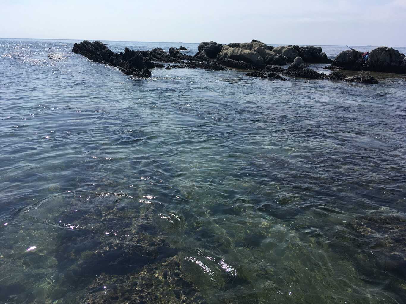 カーディフトレーラーハウス photo 5