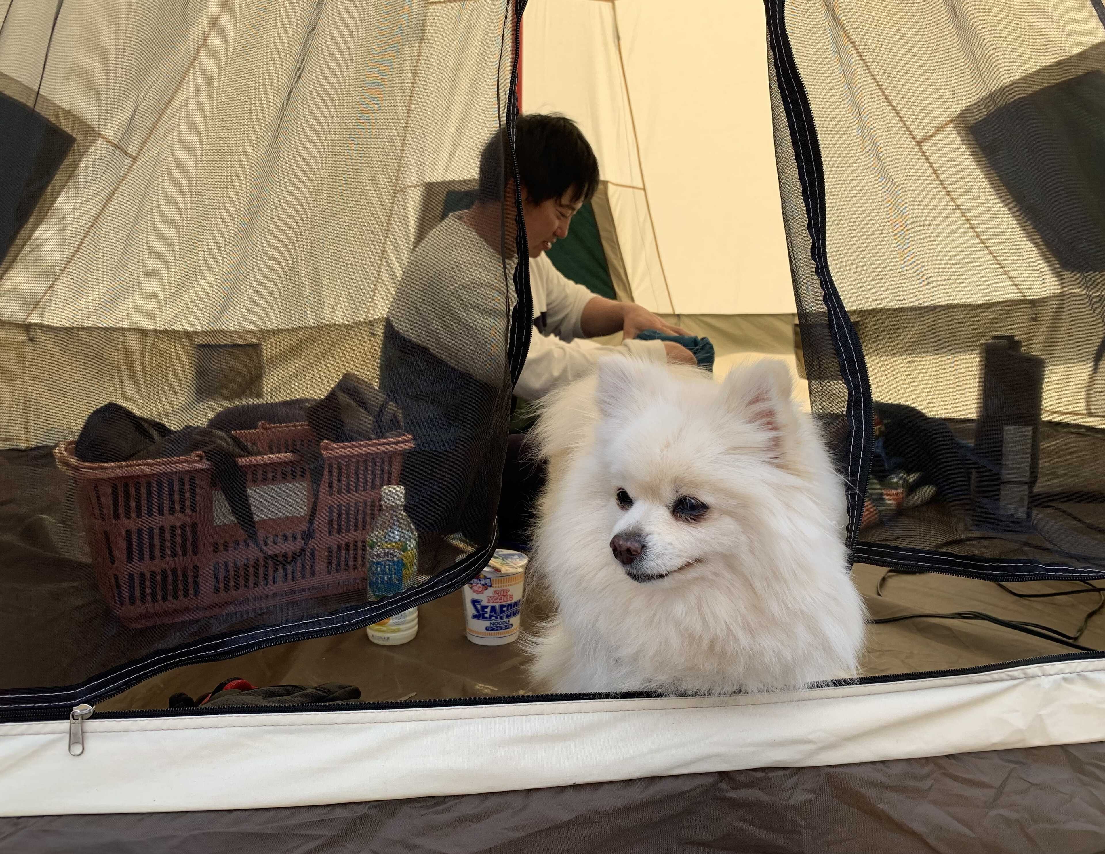 ペンションマドンナ ペットとキャンプ