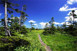 キャンプイントント photo 4
