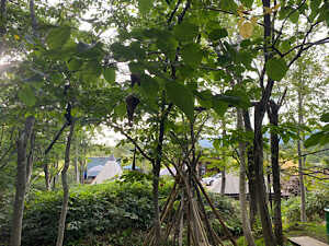 NISEKO KAMA_HALE VILLAGE photo 4