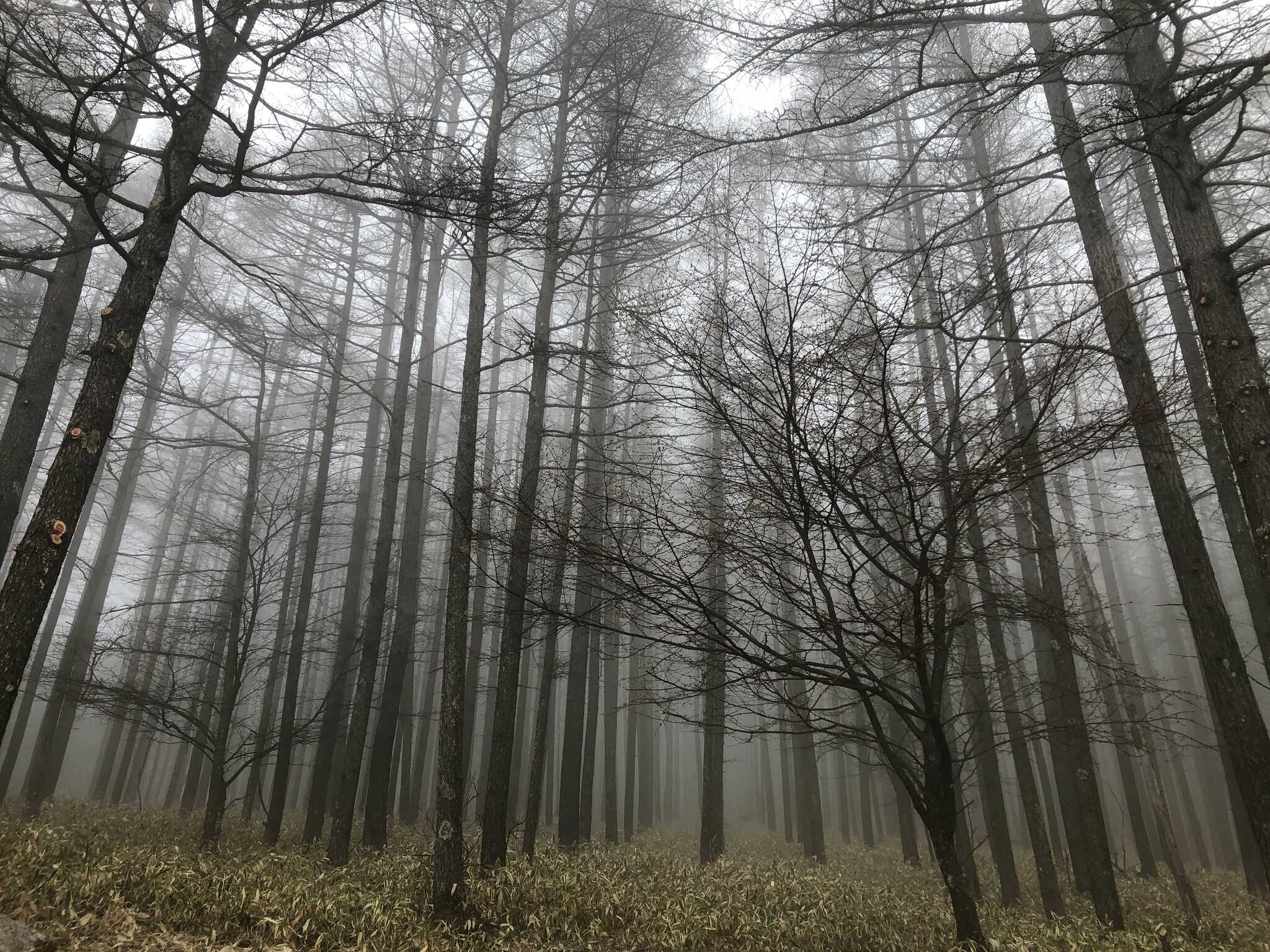 Suwa.c.siteの写真 5枚目