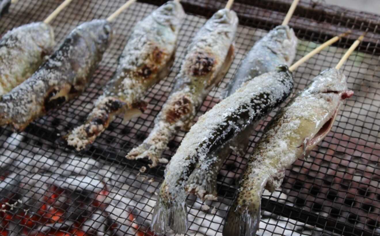 魚のつかみ取り&釣り体験 魚の塩焼きは別料金(1匹300円)