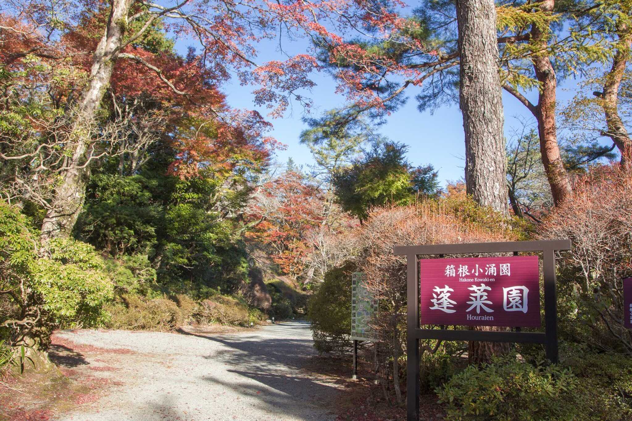 【R6/3 閉鎖】箱根小涌園 蓬莱園キャンプ場の写真 1枚目