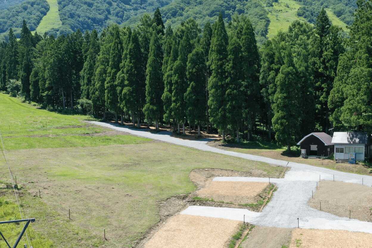 【R7/5 閉鎖】IIMORIオートキャンプ場の写真 2枚目