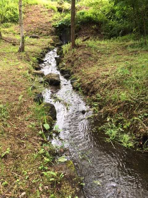 北軽井沢　どんぐり山の一番星　キャンプ場 photo 4