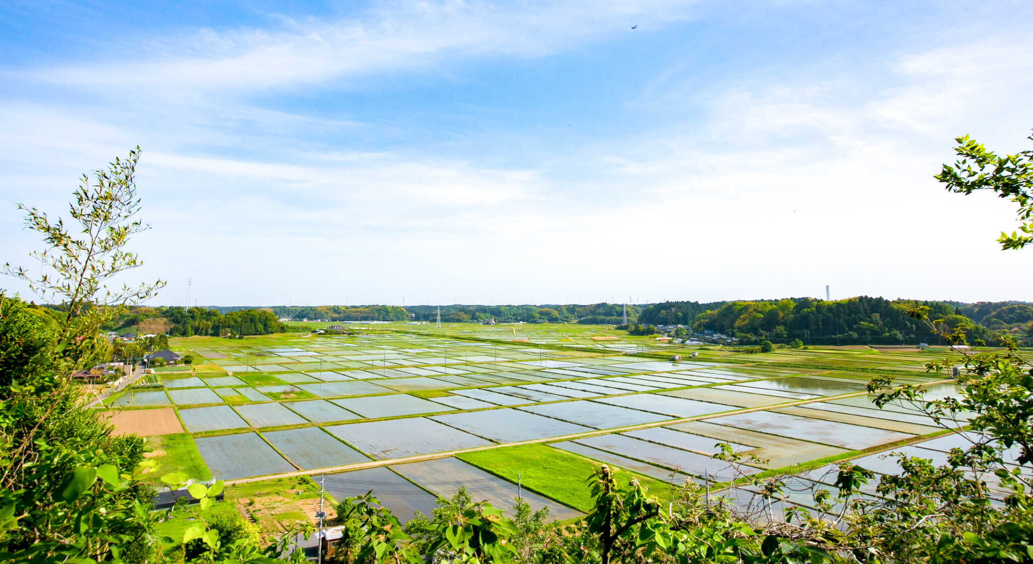 都心にも近く、空の玄関口にも近い、芝山町の緑に囲まれた自然豊かな環境をゆっくり楽しんでください♪