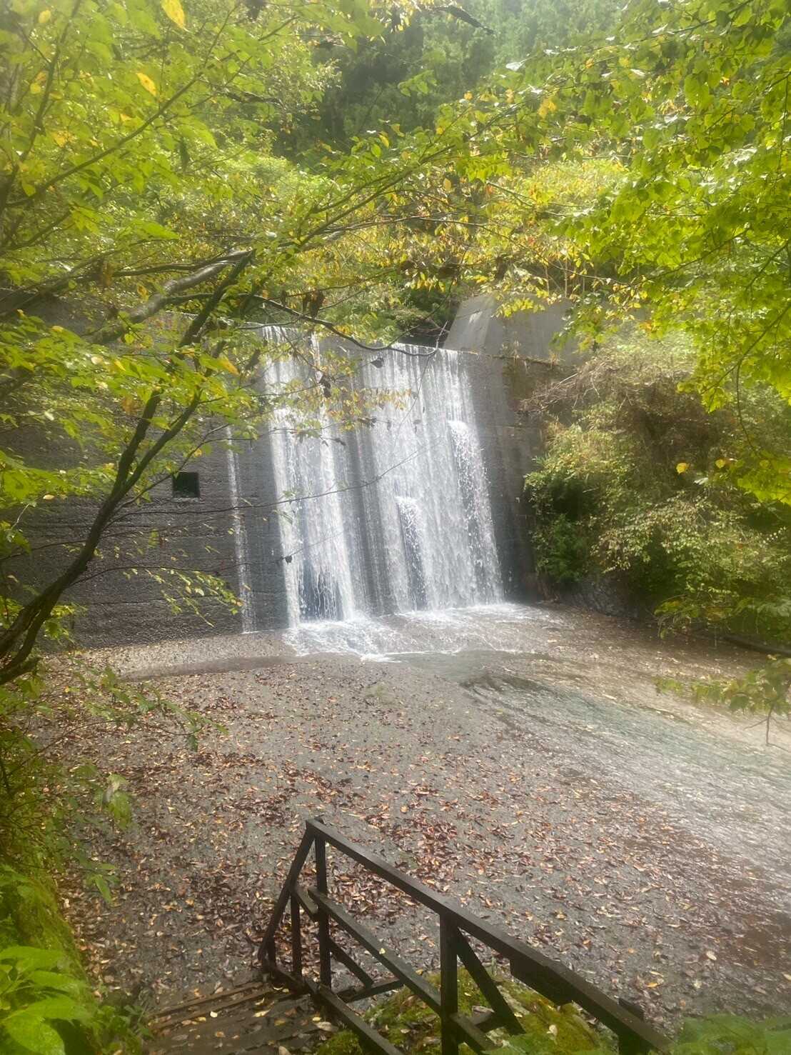 やぐら沢キャンプ場